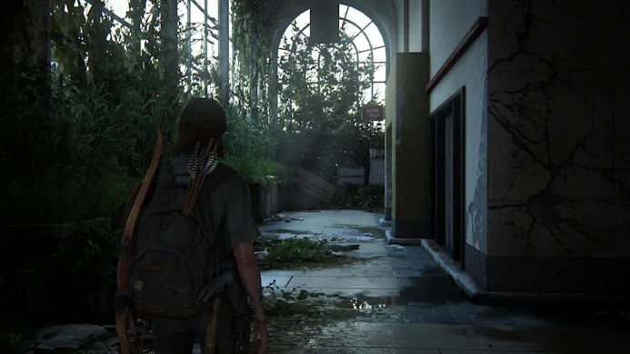 The Last of us Part 2 Remastered